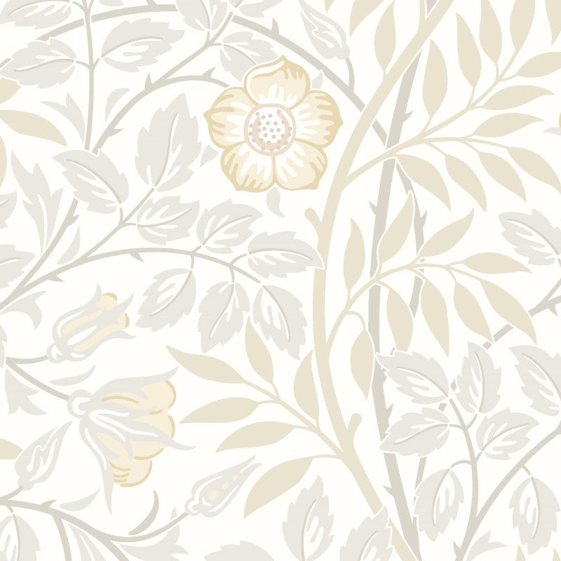 Hoopla Walls Rosehip Trail Wallpaper