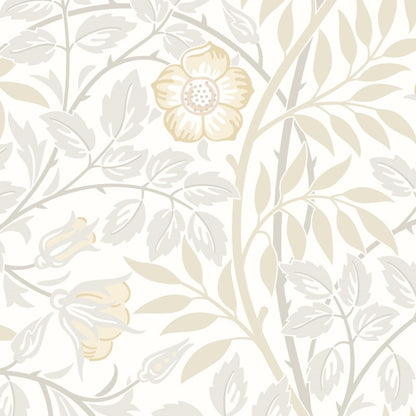 Hoopla Walls Rosehip Trail Wallpaper