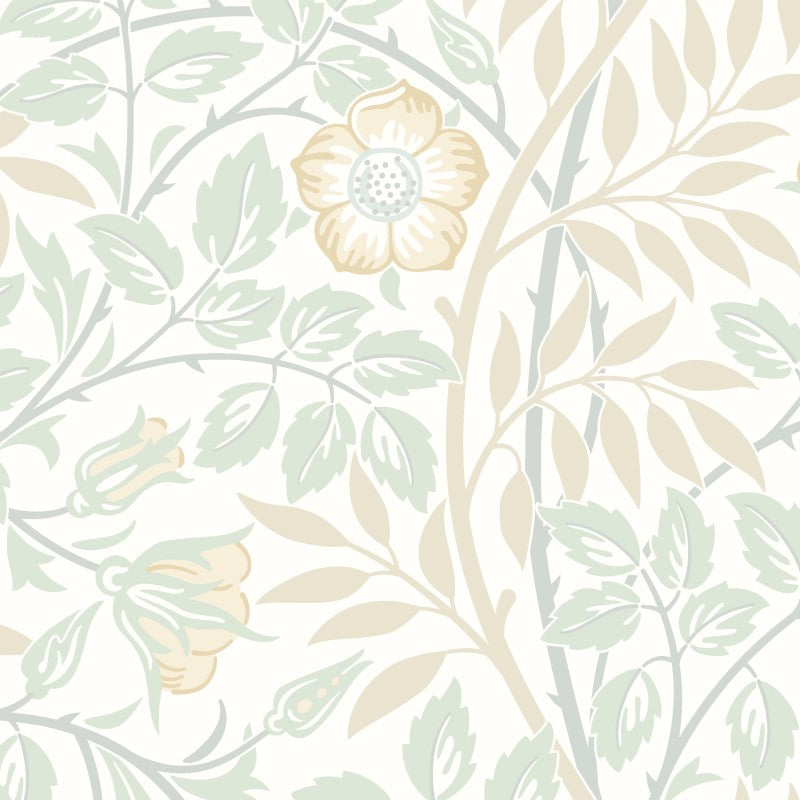 Hoopla Walls Rosehip Trail Wallpaper