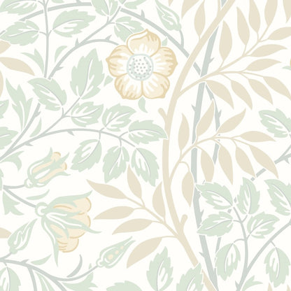 Hoopla Walls Rosehip Trail Wallpaper