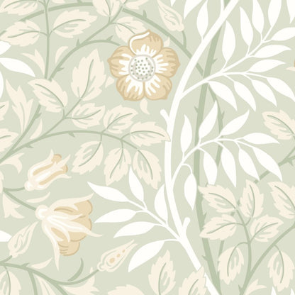 Hoopla Walls Rosehip Trail Wallpaper