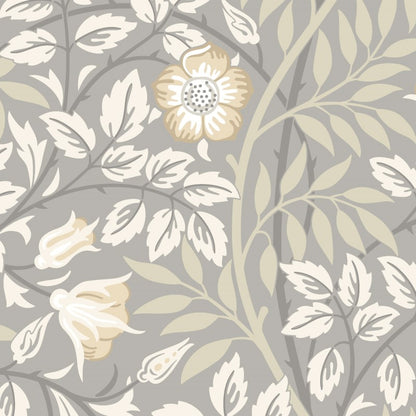 Hoopla Walls Rosehip Trail Wallpaper