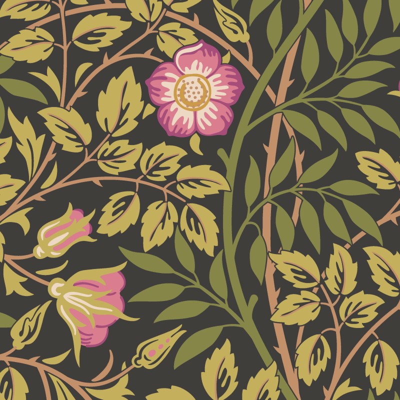 Hoopla Walls Rosehip Trail Wallpaper