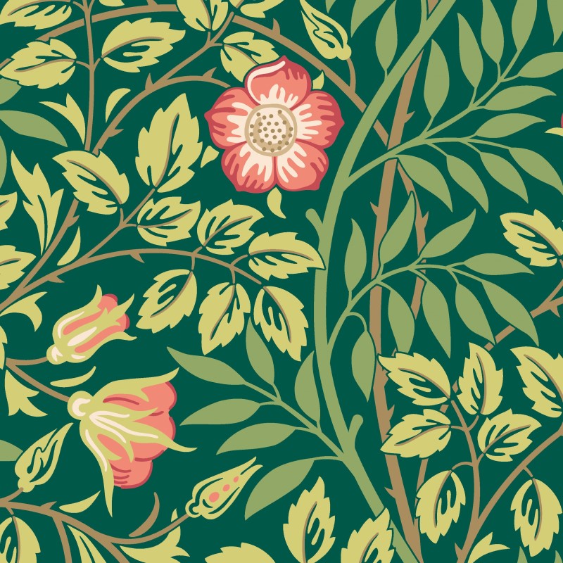 Hoopla Walls Rosehip Trail Wallpaper