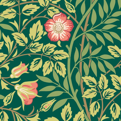 Hoopla Walls Rosehip Trail Wallpaper