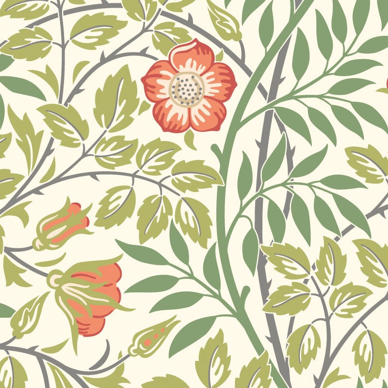 Hoopla Walls Rosehip Trail Wallpaper