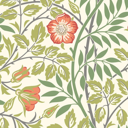 Hoopla Walls Rosehip Trail Wallpaper