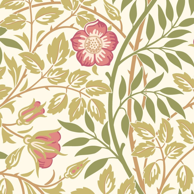 Hoopla Walls Rosehip Trail Wallpaper