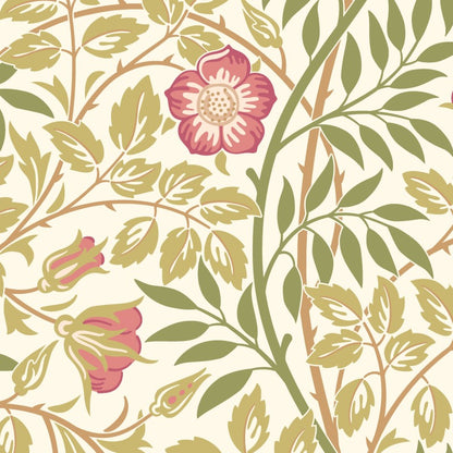 Hoopla Walls Rosehip Trail Wallpaper