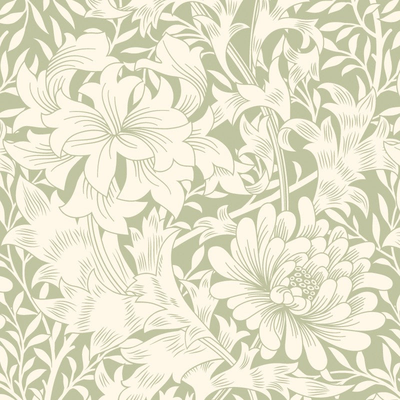 Hoopla Chrysanthemum Sage Green Wallpaper