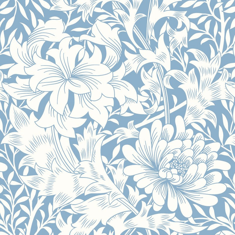Hoopla Chrysanthemum Pale Blue Wallpaper