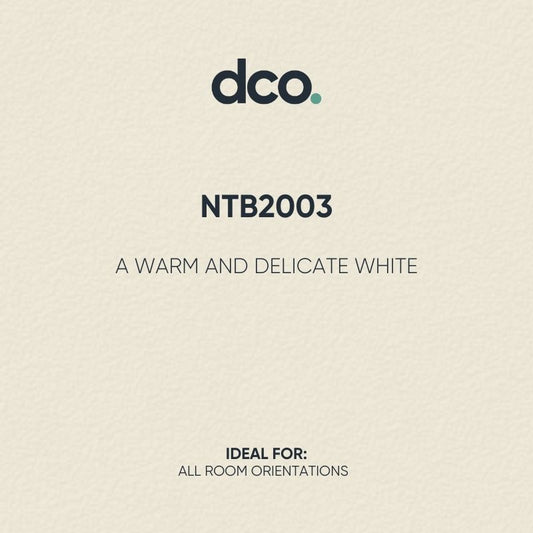 Zinsser AllCoat Matt - Designer Colour Match Paint - NTB2003  1L