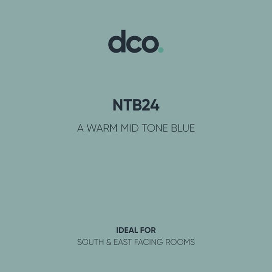 Farrow & Ball Estate Emulsion - Designer Colour Match Paint - NTB24 5L