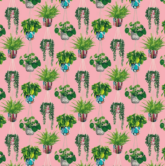 Ohpopsi Houseplant Wallpaper Bubblegum Sample