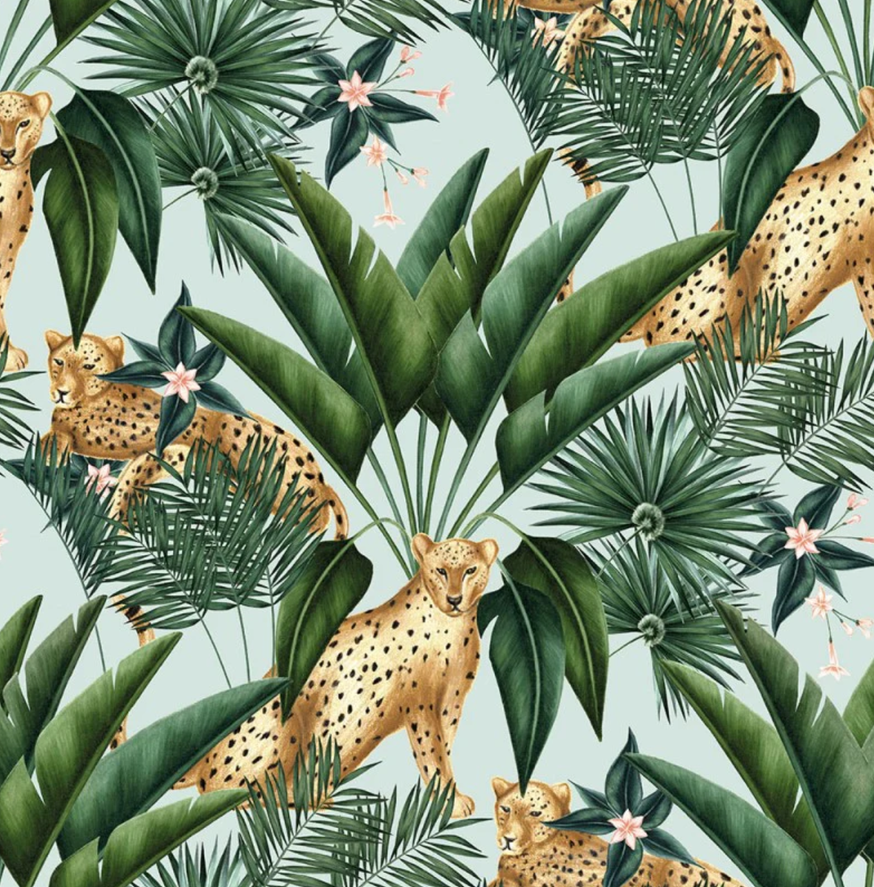Ohpopsi Jungle Cheetah Wallpaper Duckegg Sample