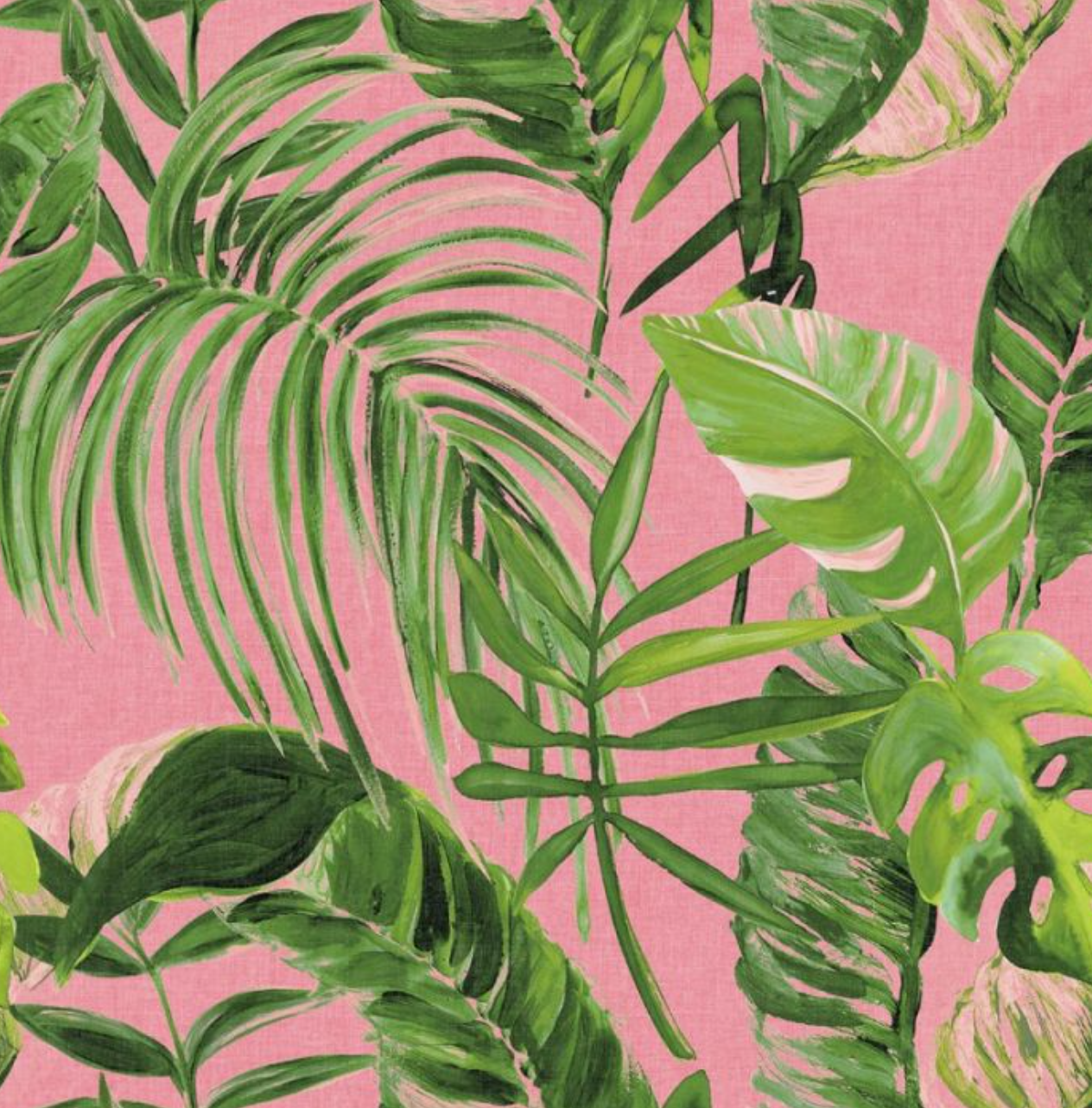 Ohpopsi Palmera Fuchsia Wallpaper Sample
