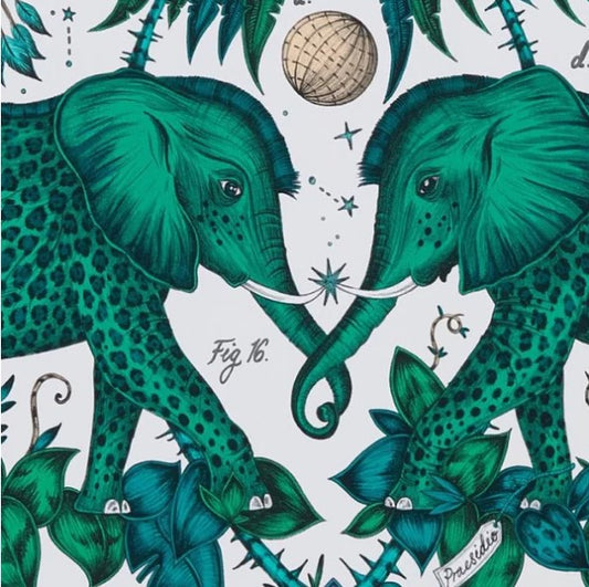 Clarke & Clarke Zambezi Wallpaper- Green Sample