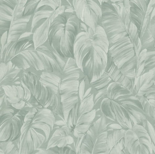 Sketched Palm Leaves Wallpaper - Sage Green Sample