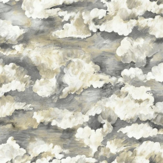 Sora Cloud Wallpaper - Charcoal Sample