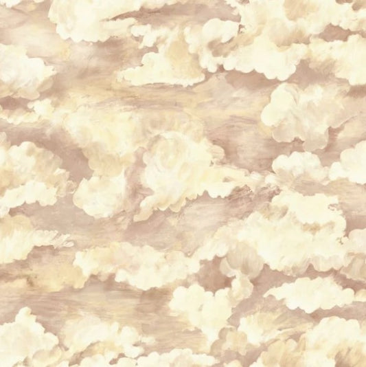 Sora Cloud Wallpaper - Coral Sample