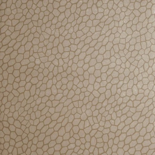 Clarke & Clarke Playa Wallpaper- Antique Sample