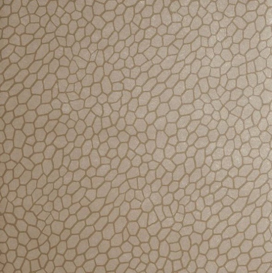 Clarke & Clarke Playa Wallpaper- Antique Sample