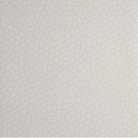 Clarke & Clarke Playa Wallpaper- Parchment Sample