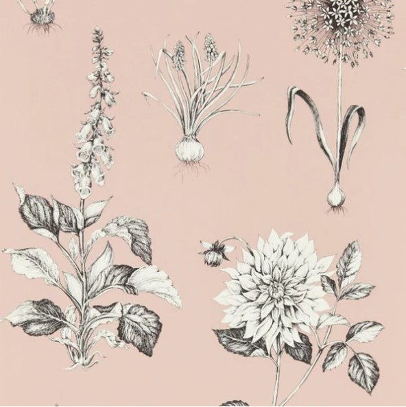 Clarke & Clarke Roseraie Wallpaper - Blush Sample