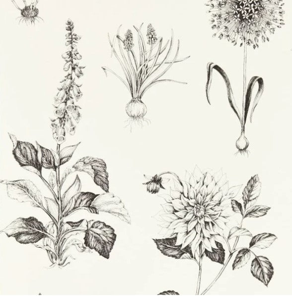 Clarke & Clarke Roseraie Wallpaper - Charcoal Sample