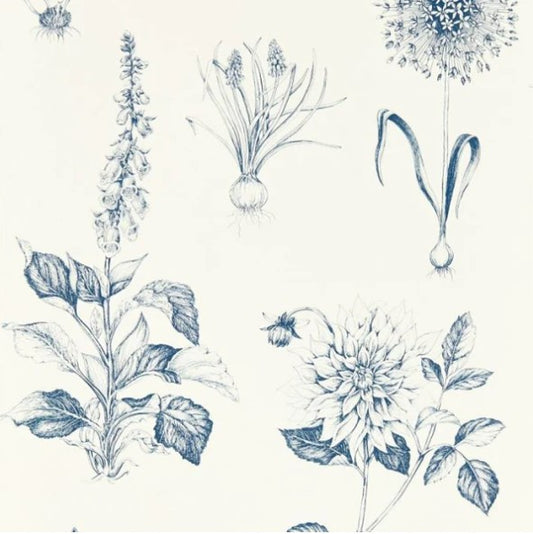 Clarke & Clarke Roseraie Wallpaper - Midnight Sample