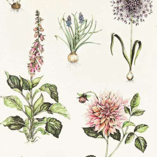 Clarke & Clarke Roseraie Wallpaper - Summer Sample