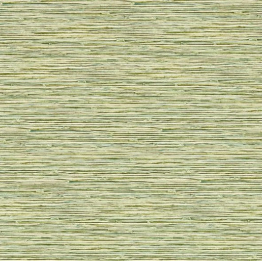 Clarke & Clarke Xan Wallpaper - Palm Sample