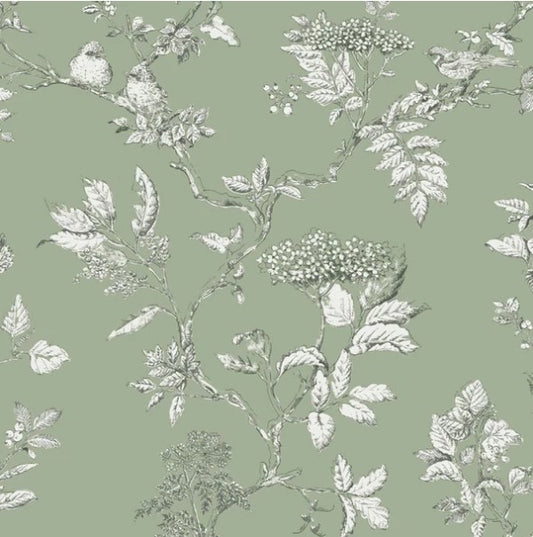 Laura Ashley Elderwood Wallpaper - Sage Sample