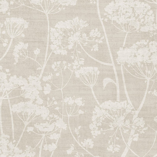 Cow Parsley Floral Trail Wallpaper Neutral Sample