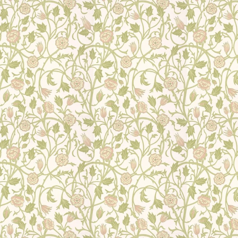 Little Greene May's Tulip Wallpaper