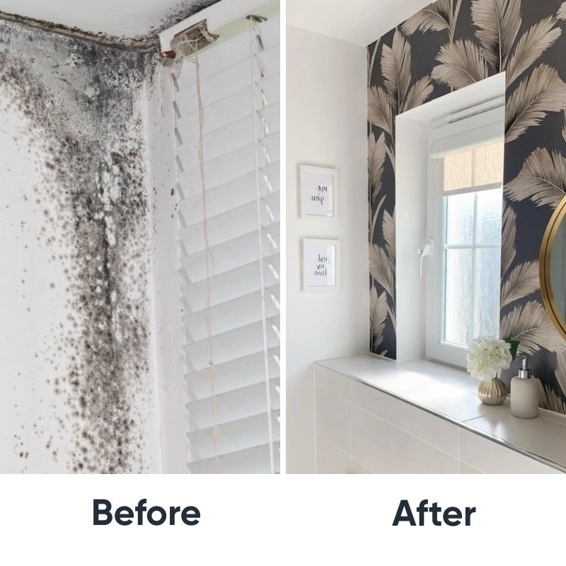 Zinsser Mould Buster Bundle