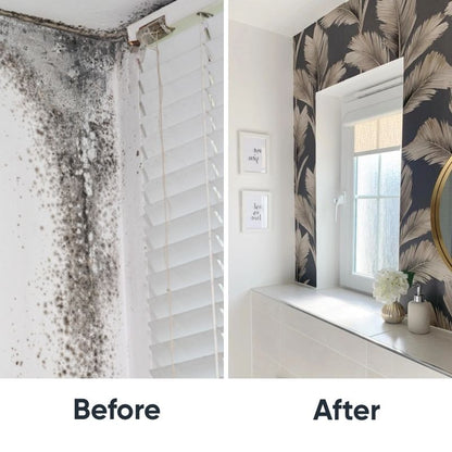 Zinsser Mould Buster Bundle