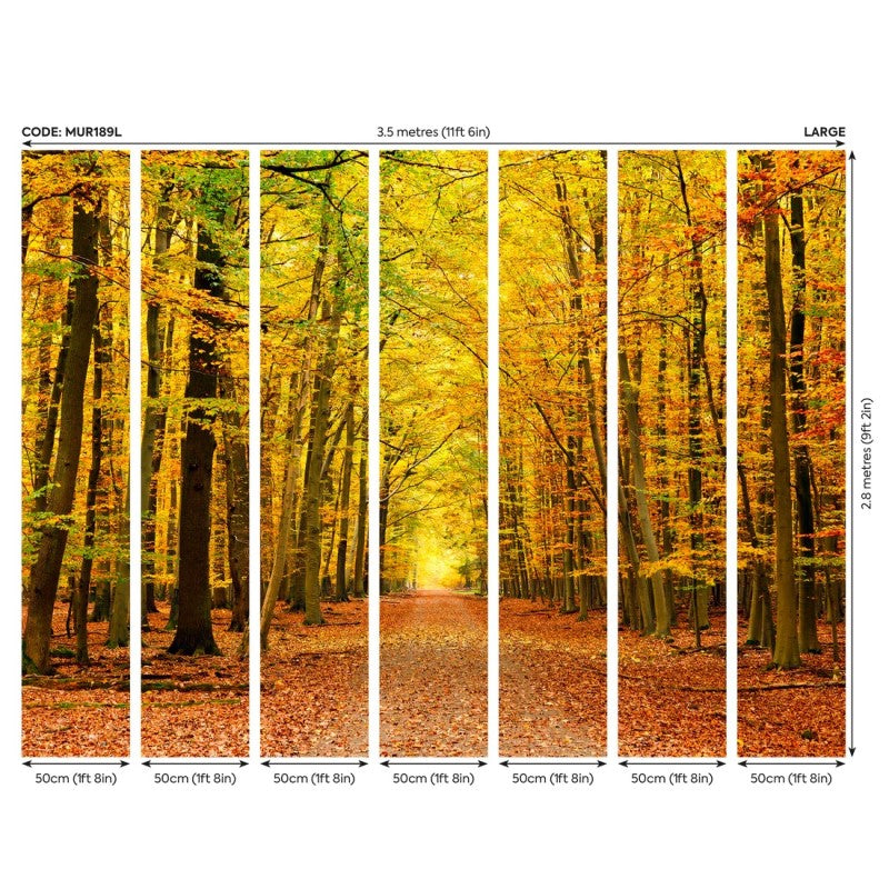 Origin Autumn Forest Wall Mural Spice
