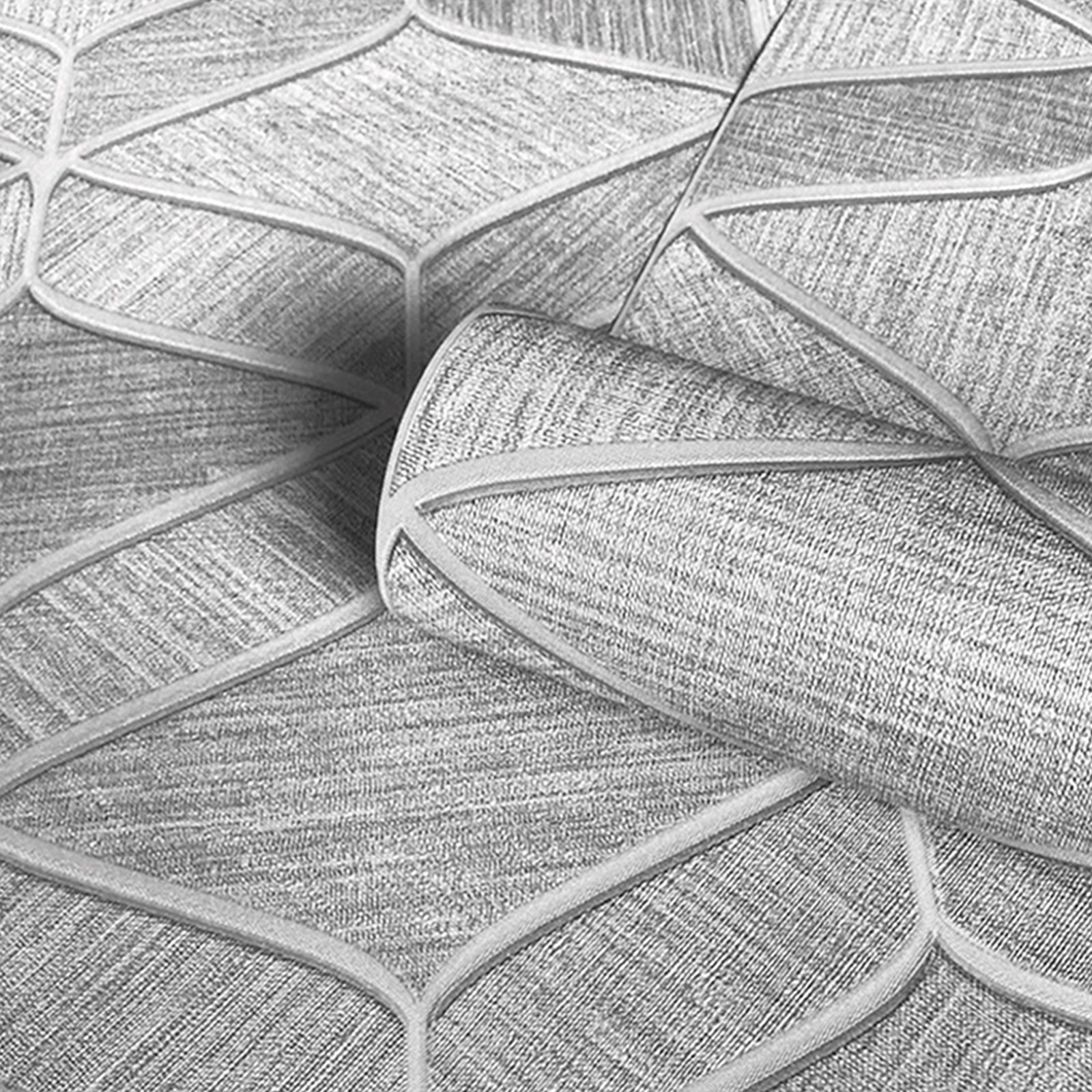 Calathea Leaf Wallpaper
