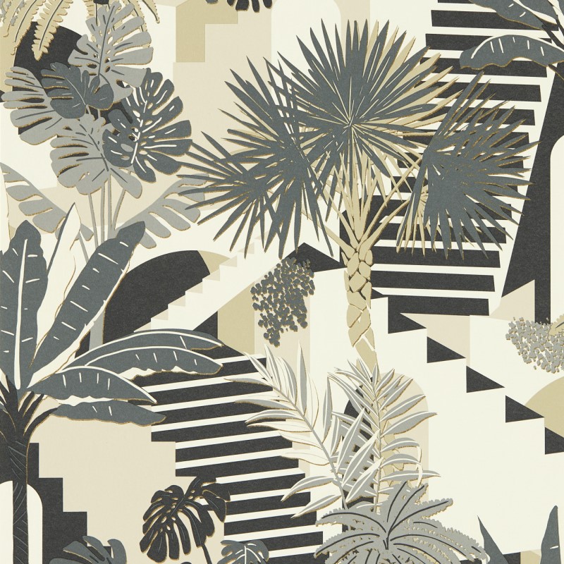 Yasuni Oriental Tropical Bird Wallpaper