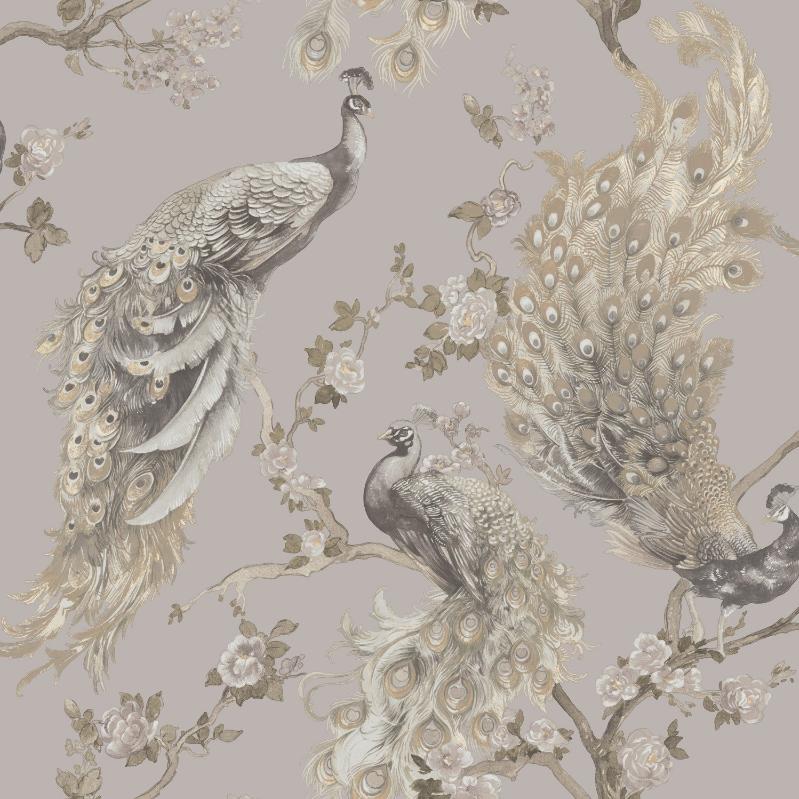 Animal Wallpaper | Bird Wallpaper | Decorating Centre Online