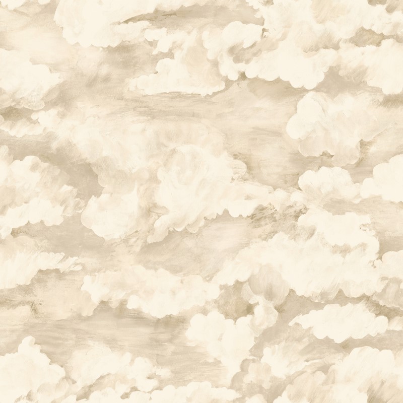 Sora Cloud Wallpaper