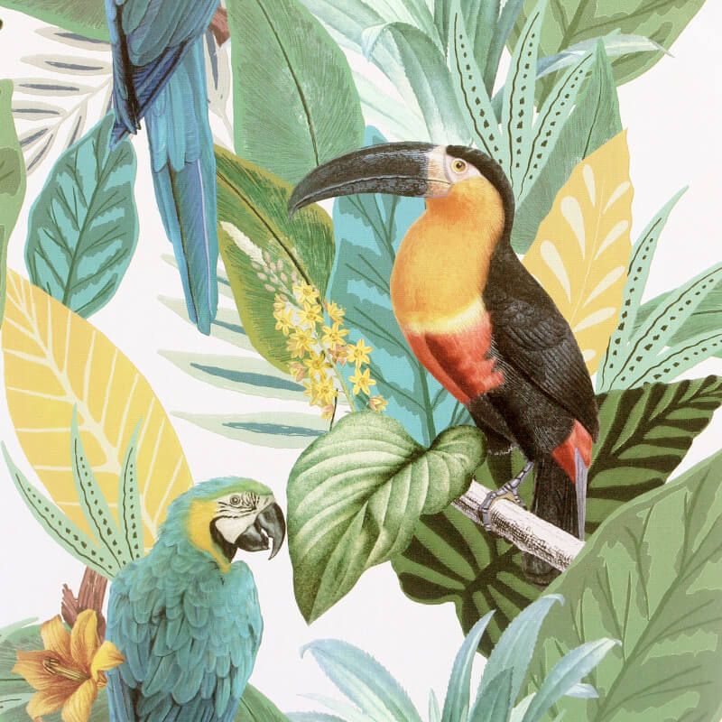 Toucan Bird Jungle Wallpaper Multi
