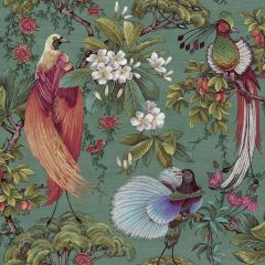 Yasuni Oriental Tropical Bird Wallpaper Green