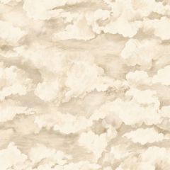 Sora Cloud Wallpaper - Cream