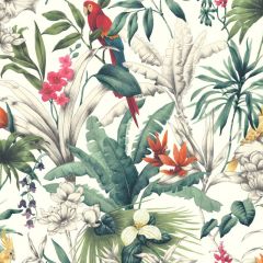 Accessorize Birds of Paradise Wallpaper