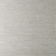 Crown Fusion Plain Wallpaper - Soft Grey