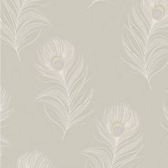 Pavona Peacock Feather Wallpaper Taupe