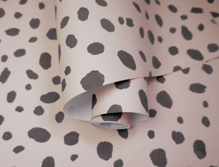 Dalmatian Wallpaper