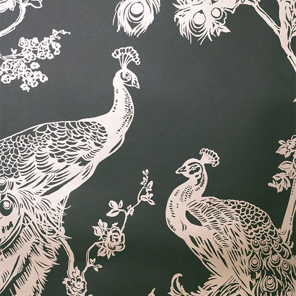 Glistening Peacock Wallpaper